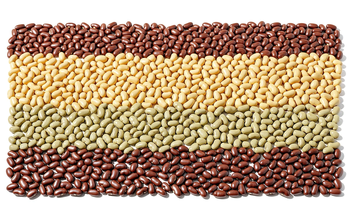 Nutrition équilibrée